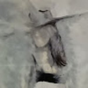 Meet your Posher, Solange